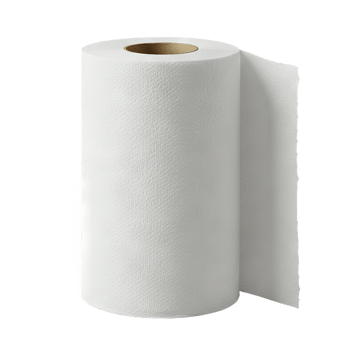 White empty toilet paper rolls stand on transparent background png