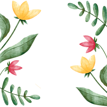 Soft Watercolor flowers and leaves on a Transparent background png