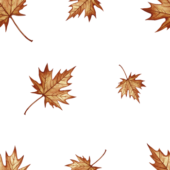 Seamless pattern with autumn maple leaves. Handmade watercolor illustration. Color image. Great for packaging, decor, textiles and wallpaper, for printing, wrapping paper. png
