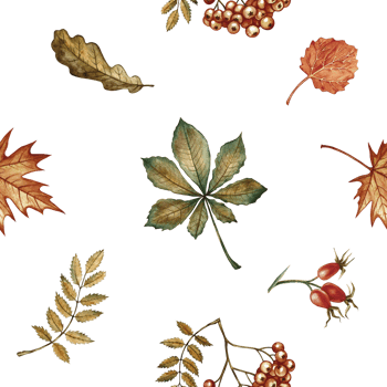 Seamless pattern with different autumn floral elements. Handmade watercolor illustration. Color image. Great for packaging, decor, textiles, wallpaper, for printing and wrapping paper. png