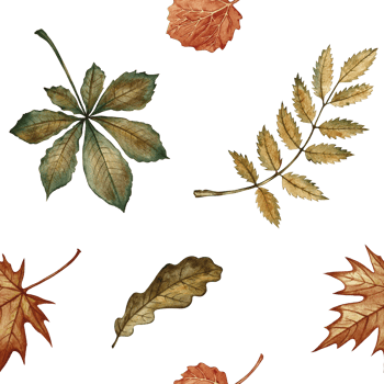 Seamless pattern with different autumn leaves. Handmade watercolor illustration. Color image. Great for packaging, decor, textiles and wallpaper, for printing, wrapping paper. png