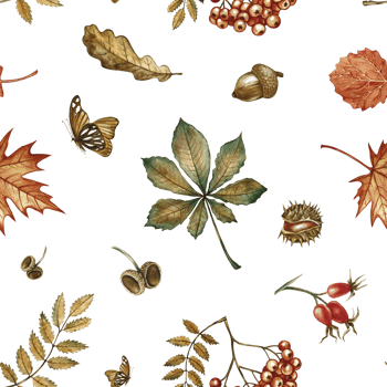 Seamless pattern with different autumn floral elements. Handmade watercolor illustration. Color image. For packaging, decor, textiles and wallpaper, for printing, wrapping paper. png