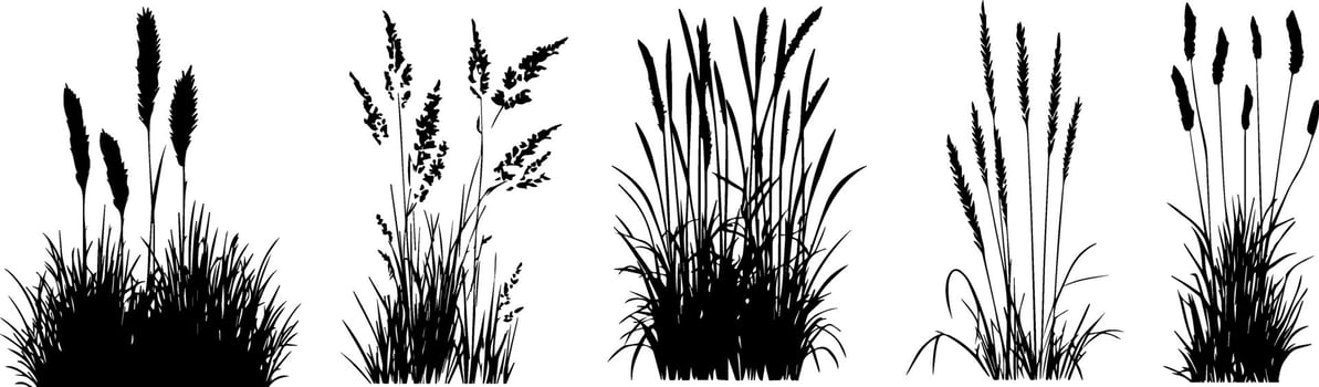 A set of silhouettes of grasses and plants vector
