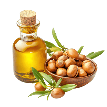 Argan oil and nuts still life on transparent background png