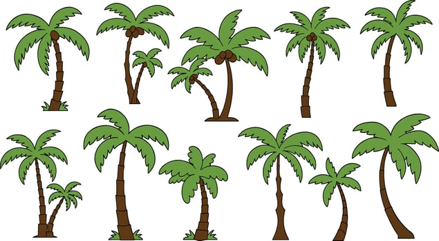 Palm trees. Cartoon tropical tree with different exotic green leaves vector