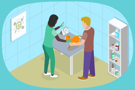 3D Isometric Flat Illustration of Pets Vaccination, Vet Clinic vector