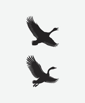 flying birds silhouette vector