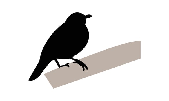 African thrush bird Silhouette Design vector