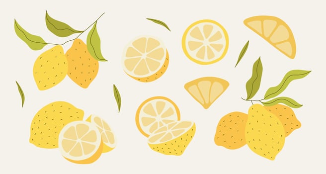 Fresh citrus fruits. Yellow juicy lemons, exotic natural product vector