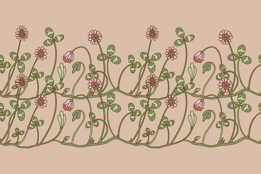 Botanical floral seamless border isolated on beige background. Hand drawn doodle clover plant with pink Flowers Stems green Leaves illustration. Graphic design element for Birthday Wedding Greeting vector