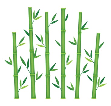 Green bamboo stems. Jungle forest, bamboo branches with leaves, decorative bamboo shoots. Bamboo trees on white. illustration. vector