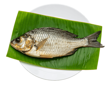 fresh raw fish on banana leaf and white plate traditional thai ingredient isolated on white background png