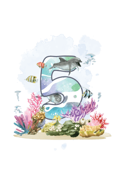 sea life numeric five watercolor background png
