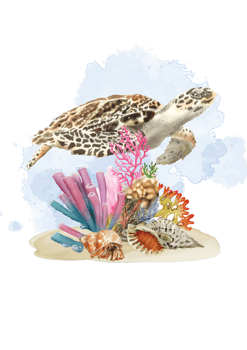 watercolor sea life background png