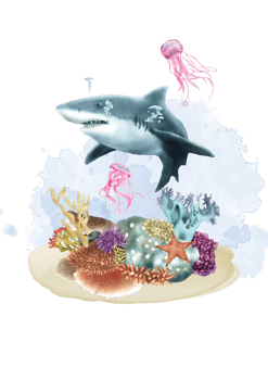 exotic sea life watercolor background png
