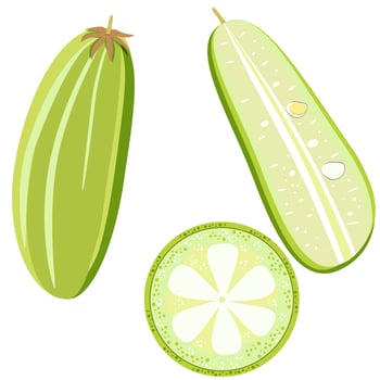 Bilimbi tropical exotic Jamaican fruit set vector