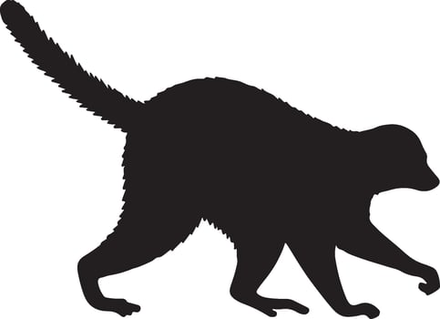 Flying Lemur Solid Black Silhouette vector