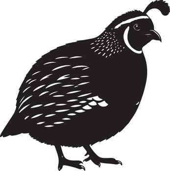 King Quail Solid Black Silhouette vector