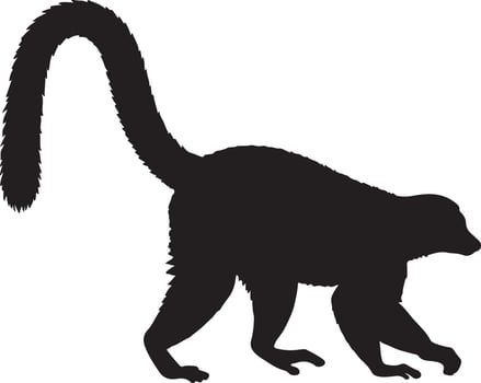A black and white silhouette of a monkey vector