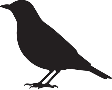 Thrush Medium Bird Solid Black Silhouette vector