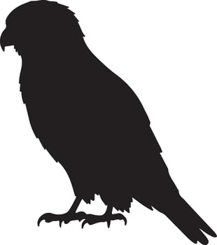 American Kestrel Solid Black Silhouette vector