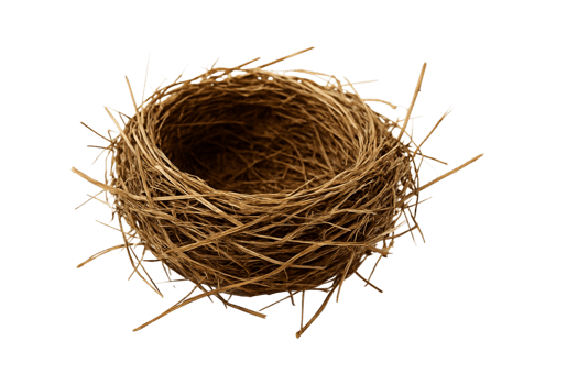 Empty Bird Nest Isolated on Transparent Background png