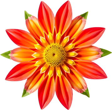 Decorative golden flower with airy symmetry and style. . png