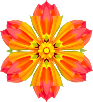 Clean symmetrical golden bloom clipart with petal details. . png