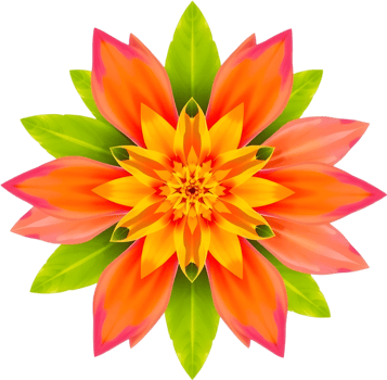 Botanical flower bloom with airy glow and gold balance. . png