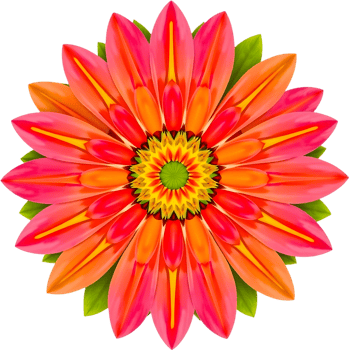 Floral design with sharp symmetrical petals and golden core. . png