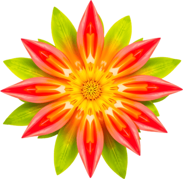 Artistic floral design showcasing sharp petals and glowing core. . png