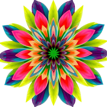Natural flower clipart with symmetrical petals and greenery. . png