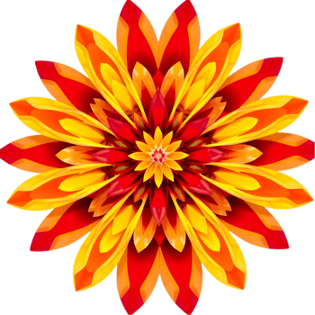 Artistic symmetrical bloom showing geometry and warm shading effects. . png