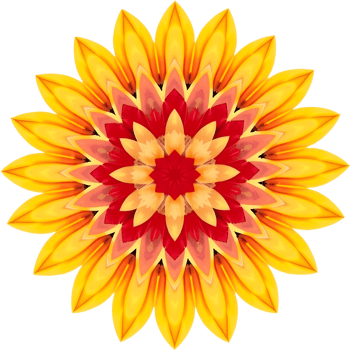 Gradient floral art with symmetrical curves in warm tones. . png