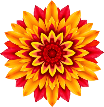 Stylish symmetrical flower with warm gradient and petal design. . png