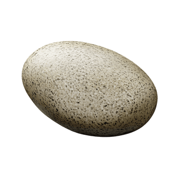 Speckled bird egg on a transparent background, closeup of natural texture and pattern Concept of wildlife, nature, and ornithology png