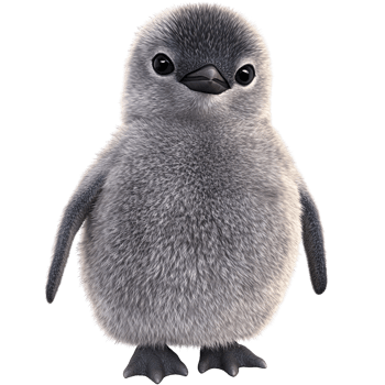 Adorable fluffy baby penguin chick standing on a transparent background, showcasing cute animal and wildlife concept png