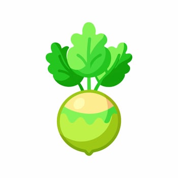 Vibrant Green Kohlrabi. A Fresh and Healthy Vegetable vector