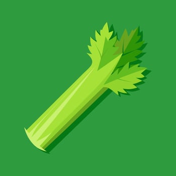 Celery. A Vibrant Green Vegetable. Fresh and Healthy vector