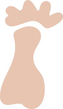 Abstract Coral Element vector