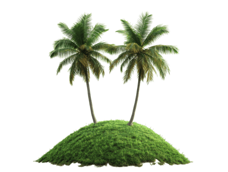 Lush tropical island with palm trees on a grassy hill png