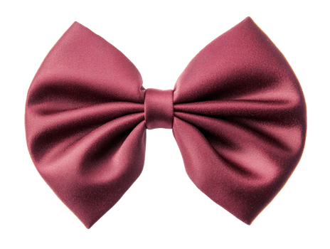 Elegant burgundy bow tie for formal occasions and celebrations png