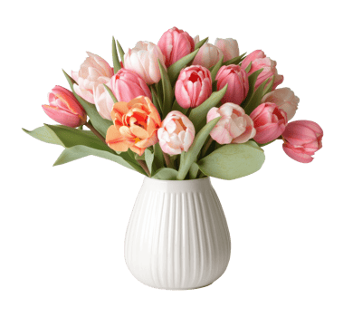 Colorful tulip bouquet in ceramic vase for decoration and gifts png