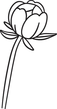 Peony Flower Line Drawing Nature Element vector