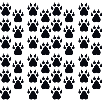 bear footprints pattern png