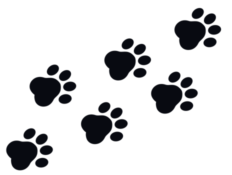 cat paw print pattern png