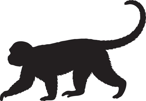 White-Faced Capuchin Solid Black Silhouette vector