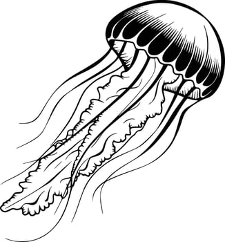 Black and white bold illustrations of a jellyfish drifting, isolated on white background. vector