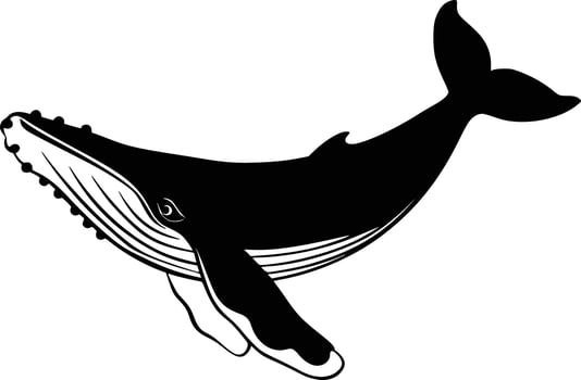 Humpback whale clip art vector