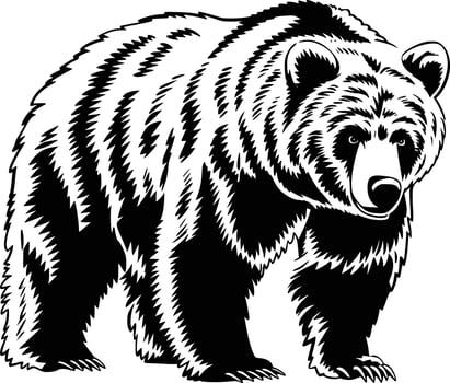 A black and white bear on a white background vector